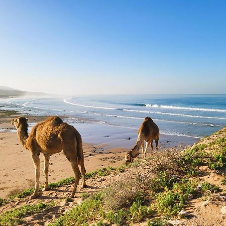 Casa Janoub Morocco Hotel Tamraght Eksteriør billede