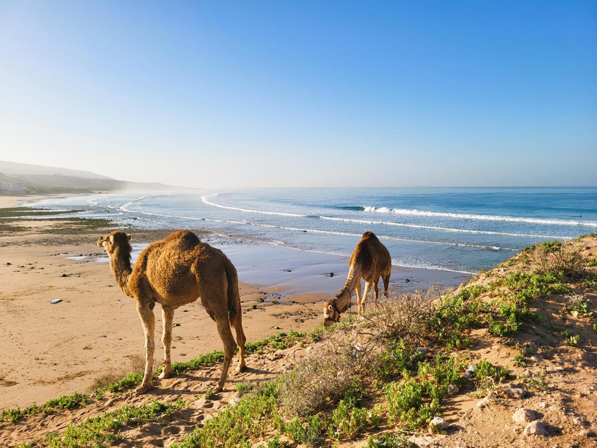 Casa Janoub Morocco Hotel Tamraght Eksteriør billede